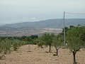 25,000 m2 Building land in Biar with water and electricity in Alicante Dream Homes Hondon