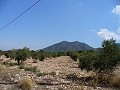 25,000 m2 Building land in Biar with water and electricity in Alicante Dream Homes Hondon