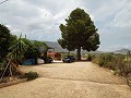 Villa met 3 slaapkamers, gastenverblijf, zwembad en garage in Alicante Dream Homes Hondon