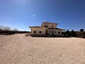 Freistehende Villa in Pinoso mit Gästeanbau und Pool in Alicante Dream Homes Hondon