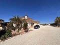 Freistehende Villa in Pinoso mit Gästeanbau und Pool in Alicante Dream Homes Hondon