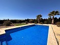 Freistehende Villa in Pinoso mit Gästeanbau und Pool in Alicante Dream Homes Hondon