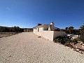 Freistehende Villa in Pinoso mit Gästeanbau und Pool in Alicante Dream Homes Hondon