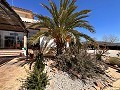 Freistehende Villa in Pinoso mit Gästeanbau und Pool in Alicante Dream Homes Hondon