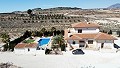 Freistehende Villa in Pinoso mit Gästeanbau und Pool in Alicante Dream Homes Hondon