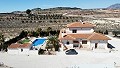 Freistehende Villa in Pinoso mit Gästeanbau und Pool in Alicante Dream Homes Hondon