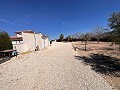 Freistehende Villa in Pinoso mit Gästeanbau und Pool in Alicante Dream Homes Hondon