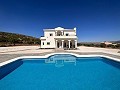 Luxury New Villa with pool and plot in Alicante Dream Homes Hondon