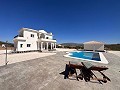 Luxury New Villa with pool and plot in Alicante Dream Homes Hondon