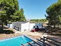 Villa de 4 chambres avec façade modernisée et piscine in Alicante Dream Homes Hondon