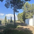 Villa de 4 chambres avec façade modernisée et piscine in Alicante Dream Homes Hondon