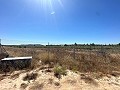 Long 10.000sqm building plot in Pinoso in Alicante Dream Homes Hondon