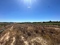 Long 10.000sqm building plot in Pinoso in Alicante Dream Homes Hondon