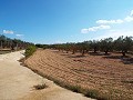 Groot landhuis, op loopafstand van de stad in Alicante Dream Homes Hondon