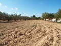 Grande maison de campagne, à distance de marche de la ville in Alicante Dream Homes Hondon