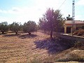 Large Country house, walking distance to Town in Alicante Dream Homes Hondon