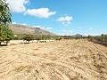 Grande maison de campagne, à distance de marche de la ville in Alicante Dream Homes Hondon