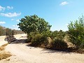 Groot landhuis, op loopafstand van de stad in Alicante Dream Homes Hondon