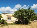 Grande maison de campagne, à distance de marche de la ville in Alicante Dream Homes Hondon