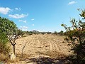 Grande maison de campagne, à distance de marche de la ville in Alicante Dream Homes Hondon