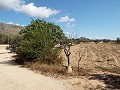 Grande maison de campagne, à distance de marche de la ville in Alicante Dream Homes Hondon