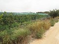 Plot of Land near Alenda Golf  in Alicante Dream Homes Hondon