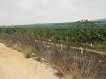 Grundstück in der Nähe von Alenda Golf in Alicante Dream Homes Hondon