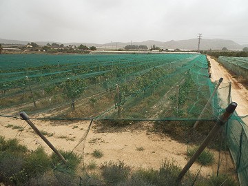 Bouwgrond nabij Alenda Golf