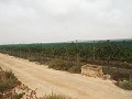 Terrain à bâtir près du Golf d'Alenda in Alicante Dream Homes Hondon