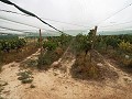 Double terrain à bâtir près du golf d'Alenda in Alicante Dream Homes Hondon