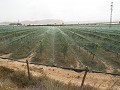 Doppeltes Baugrundstück in der Nähe des Golfplatzes Alenda in Alicante Dream Homes Hondon