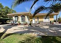 Mooie villa met 4 slaapkamers in Elda in Alicante Dream Homes Hondon