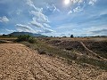 Terrain à Sax avec eau et petite maison in Alicante Dream Homes Hondon