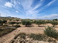 Terrain à Sax avec eau et petite maison in Alicante Dream Homes Hondon