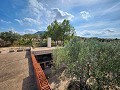 Grundstück in Sax mit Wasser und kleinem Haus in Alicante Dream Homes Hondon