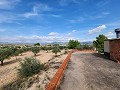 Grundstück in Sax mit Wasser und kleinem Haus in Alicante Dream Homes Hondon