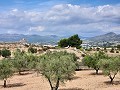 Grundstück in Sax mit Wasser und kleinem Haus in Alicante Dream Homes Hondon