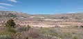 10.012m² Plot Of Land In An Elevated Position in Alicante Dream Homes Hondon