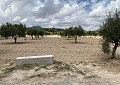 Villa de 4 chambres avec piscine à seulement 500 mètres à pied de la ville de Sax in Alicante Dream Homes Hondon