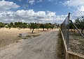 4-Schlafzimmer-Villa mit Pool, nur 500 Meter zu Fuß von der Stadt Sax entfernt in Alicante Dream Homes Hondon