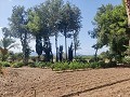 Casa de campo con piscina y barbacoa in Alicante Dream Homes Hondon