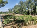 Casa de campo con piscina y barbacoa in Alicante Dream Homes Hondon