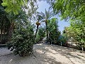 Casa de campo con piscina y barbacoa in Alicante Dream Homes Hondon