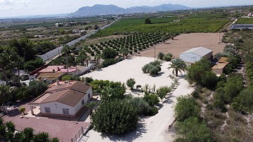 Deux propriétés sur un terrain à Crevillente