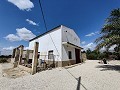 Two properties on one plot in Crevillente in Alicante Dream Homes Hondon