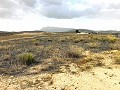 Land, for Sale in Torre del Rico in Alicante Dream Homes Hondon