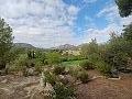 Lovely 2 Bedroom Country house in La Romana in Alicante Dream Homes Hondon