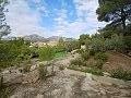 Lovely 2 Bedroom Country house in La Romana in Alicante Dream Homes Hondon