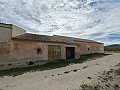 Großes historisches Haus und Bodega in Pinoso in Alicante Dream Homes Hondon