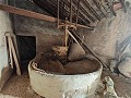 Großes historisches Haus und Bodega in Pinoso in Alicante Dream Homes Hondon